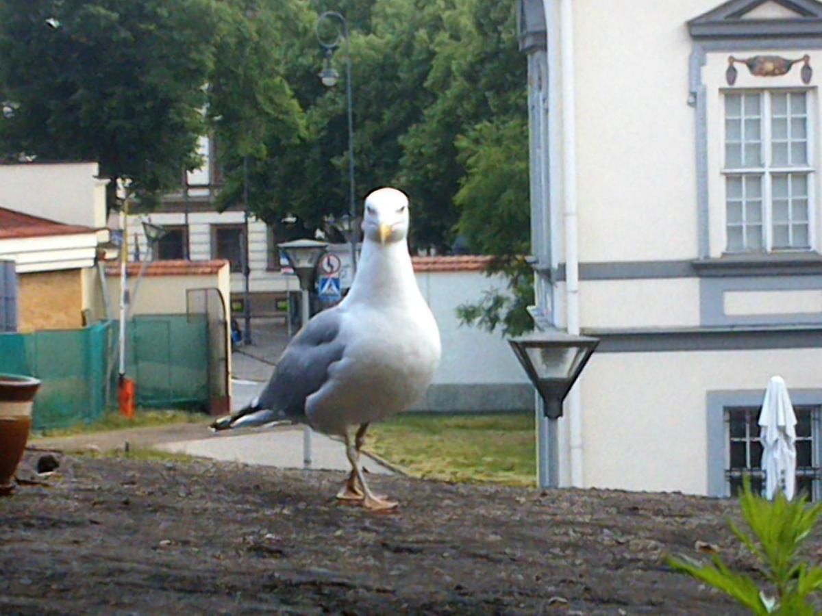 Гостевой дом Vilnius Old Town accommodation Вильнюс-12